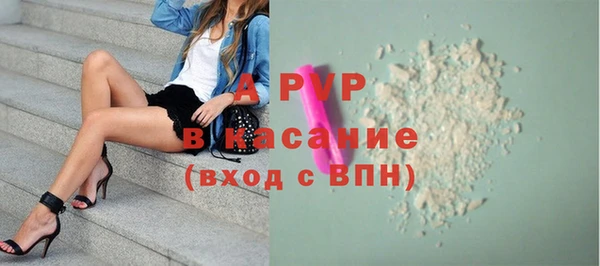 твердый Алзамай