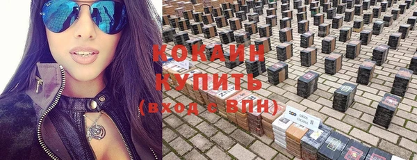 твердый Алзамай