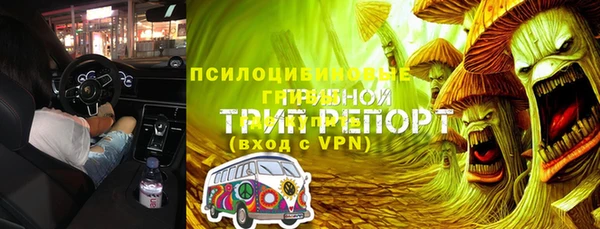 крисы Алексин
