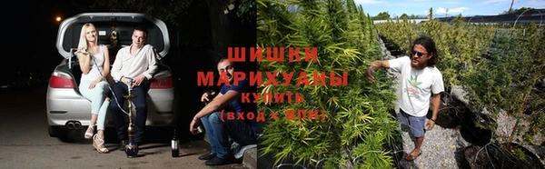прущая мука Нея