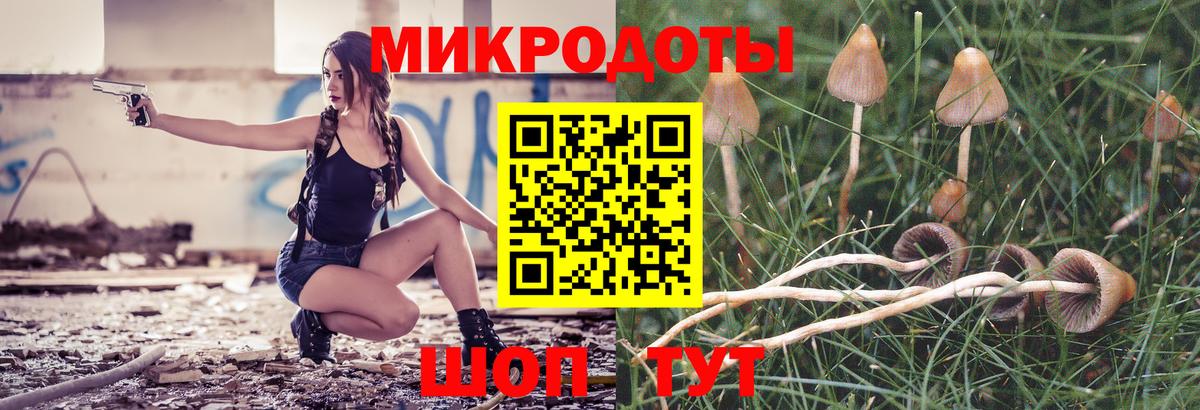 Галлюциногенные грибы Psilocybe Югорск