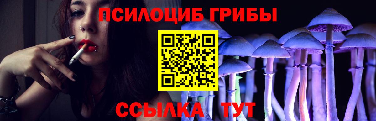 Псилоцибиновые грибы мухоморы  Вход с VPN  Псилоцибиновые грибы мухоморы  Югорск 